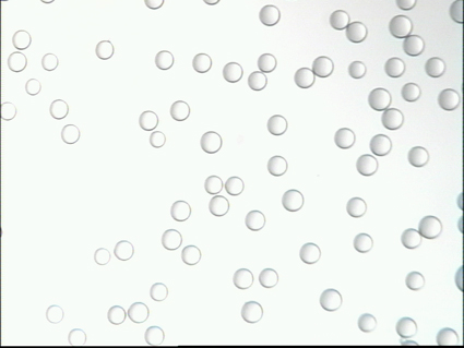 04 ND2.2 Glass Beads